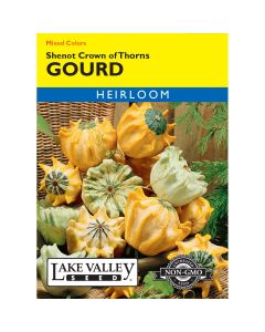 Cucurbita, Gourd 'Shenot Crown of Thorns'