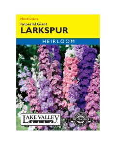 Consolida, Larkspur 'Imperial Giant' Mixed Colors