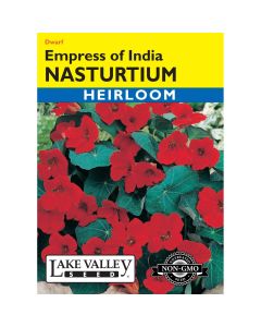 Tropaeolum, Dwarf Nasturtium 'Empress of India'