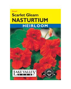 Tropaeolum, Dwarf Nasturtium 'Scarlet Gleam'