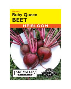 Beta, Beet 'Ruby Queen' Heirloom