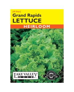 Lactuca, Loose-Leaf Lettuce 'Grand Rapids' Heirloom