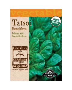 Brassica, Mustard Greens 'Tatsoi' Organic Heirloom