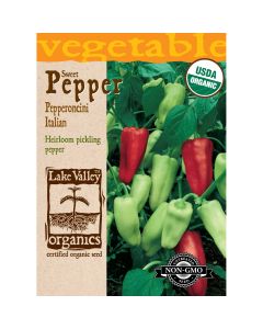 Capsicum, Pepper Sweet 'Pepperoncini Italian'