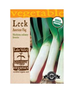 Allium, Leek 'American Flag' Organic Heirloom