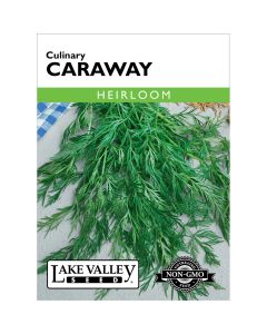 Carum, Caraway Heirloom