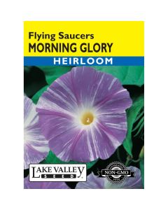 Ipomoea. Morning Glory Mix 'Flying Saucer' Heirloom