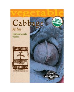 Brassica, Cabbage 'Red Acre' Organic Heirloom