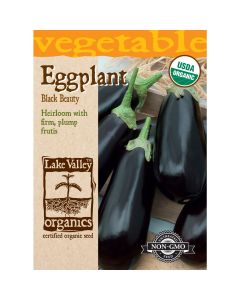 Solanum, Eggplant 'Black Beauty' Organic Heirloom