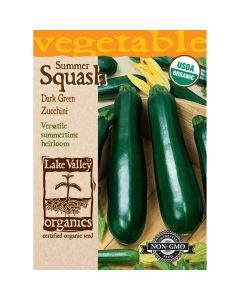 Cucurbita, Zucchini 'Dark Green' Organic Heirloom
