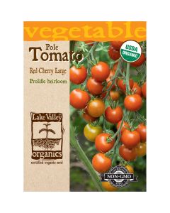 Solanum, Tomato (Pole) 'Red Cherry'