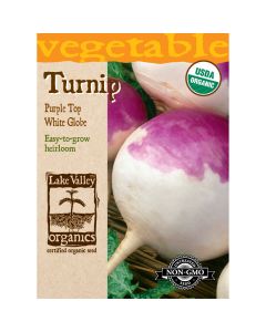 Brassica, Turnip 'Purple Top White Globe' Organic Heirloom