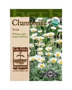 Matricaria, Chamomile 'German' Organic Heirloom