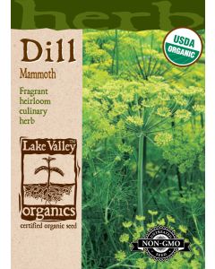 Anethum, Dill, Mammoth Dill, 1g