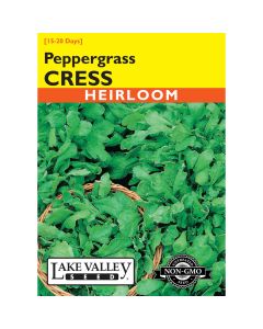 Lepidium, Cress 'Peppergrass' Heirloom