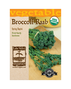 Brassica, Broccoli Raab 'Spring Rapini' Organic Heirloom