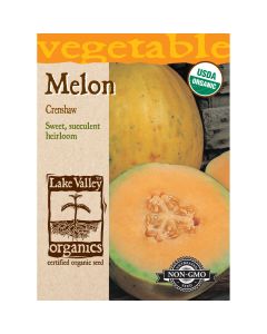 Cucumis, Melon 'Crenshaw' Organic Heirloom