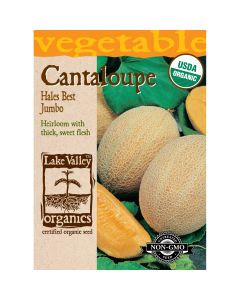 Cucumis, Cantaloupe 'Hales Best Jumbo' Organic Heirloom