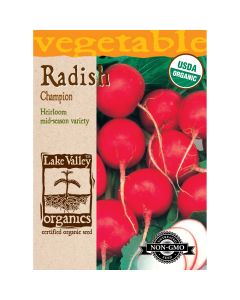 Raphanus, Radish 'Champion' Organic Heirloom