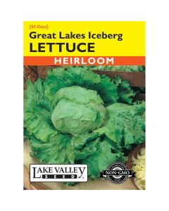 Lactuca, Lettuce 'Great Lakes Iceberg'
