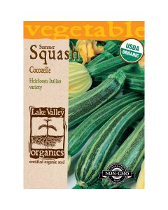 Cucurbita, Zucchini 'Cocozelle' Organic Heirloom
