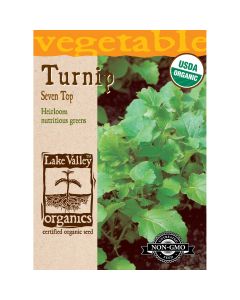 Brassica, Turnip Tops 'Seven Top' Organic Heirloom