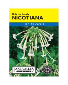 Nicotiana 'Only The Lonely'