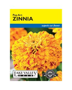 Zinnia 'Pop Art'