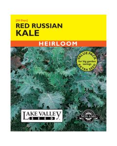 Brassica, Kale 'Red Russian' Value Pack
