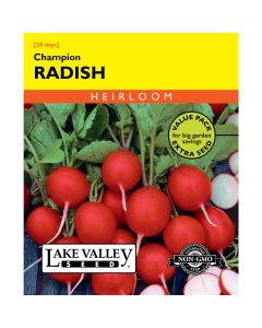 Raphanus, Radish 'Champion' Value Pack