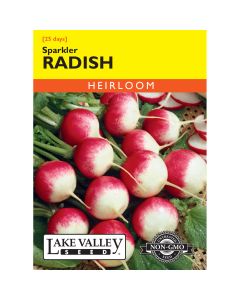 Raphanus, Radish 'Sparkler'