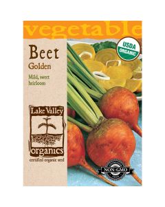 Beta, Beet 'Golden' Organic Heirloom