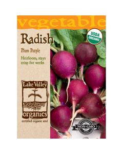 Raphanus, Radish 'Plum Purple' Organic Heirloom