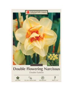 Narcissus, Double Flowering 'Double Fashion'