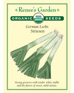 Allium, Leeks, Striesen ~ 450 seeds