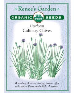 Allium, Chives, Culinary Chives ~ 1362 seeds