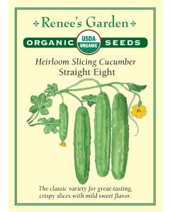 Cucumis, Cucumber, Straight Eight ~ 38 seeds