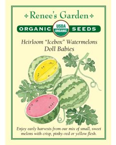Citrullus, Watermelon, Doll Babies ~ 45 seeds