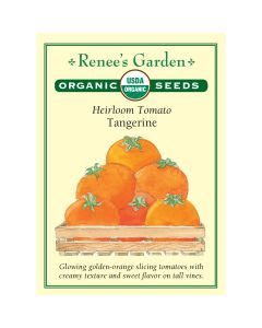 Solanum, Tomato Globe (Pole 'Tangerine' Organic Heirloom ~ 45 seeds