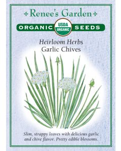 Allium, Chives, Garlic Chives ~ 225 seeds