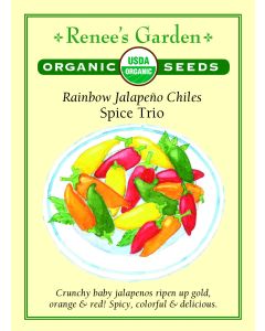 Capsicum, Pepper (Hot) Mix, Jalapeño Chiles Spice Trio ~ 50 seeds