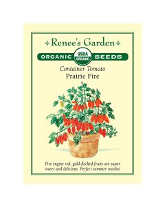 Solanum, Bush Tomato 'Prairie Fire' ~ 32 seeds