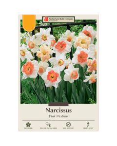 Narcissus Assortment, Pink Mixture