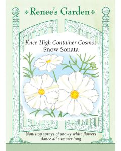 Cosmos, Snow Sonata ~ 30 seeds