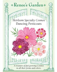 Cosmos, Dancing Petticoats ~ 140 seeds