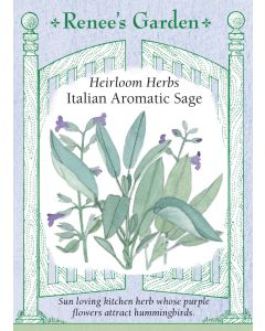 Salvia, Italian Aromatic Sage, ~ 140 seeds