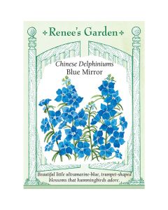 Delphinium, Larkspur 'Blue Mirror' ~ 45 seeds