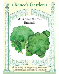 Brassica, Broccoli, Bravado ~ 95 seeds