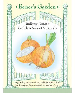 Allium, Onion, Golden Sweet Spanish ~ 300 seeds