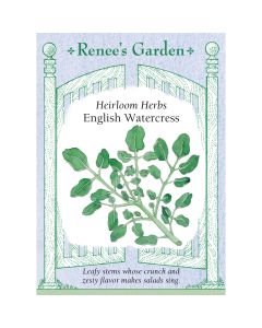 Nasturtium, English Watercress Heirloom~ 3000 seeds